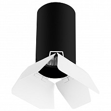 Накладной светильник Lightstar Rullo R437436