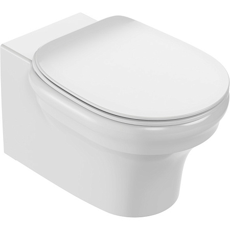 EDZ102-0 CLEO 1889 Подвесной безободковый унитаз EDZ102-0 CLEO 1889 Подвесной безободковый унитаз