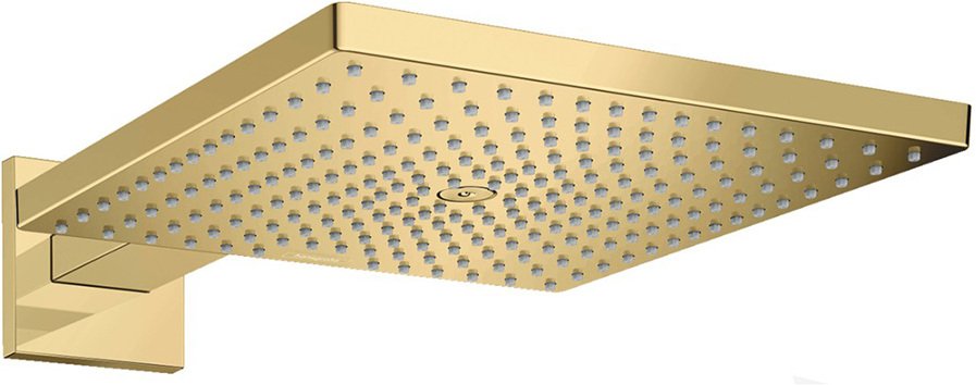 26238990 HG Raindance Е Air 1jet 300 верхний душ полир,золото