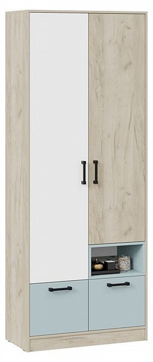 Шкаф платяной Оливер 401.001.000