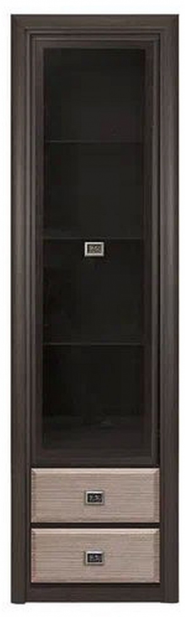 Шкаф-витрина Коен REG1W2S