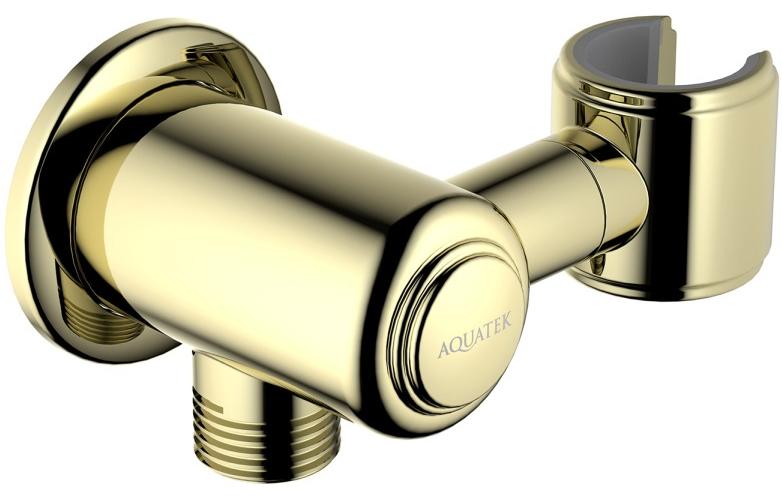 AQ2462PG КЛАССИК шланговое подсоединение с держателем, полир. золото