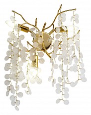 Бра Favourite Parra 4161-3W Бра Favourite Parra 4161-3W