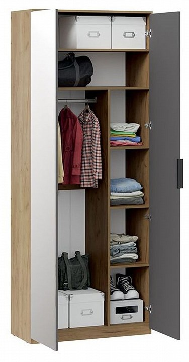 Шкаф платяной Хилтон Исп. 2.1