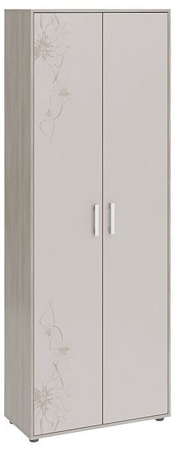 Шкаф платяной Витра