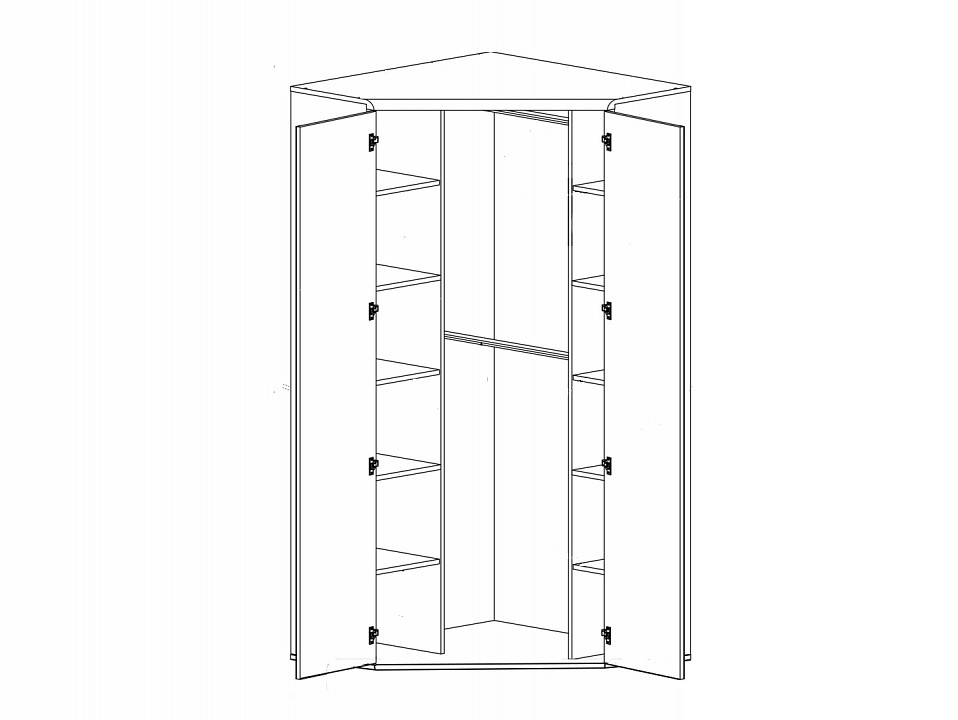 Шкаф платяной Индиана JSZFN 2D