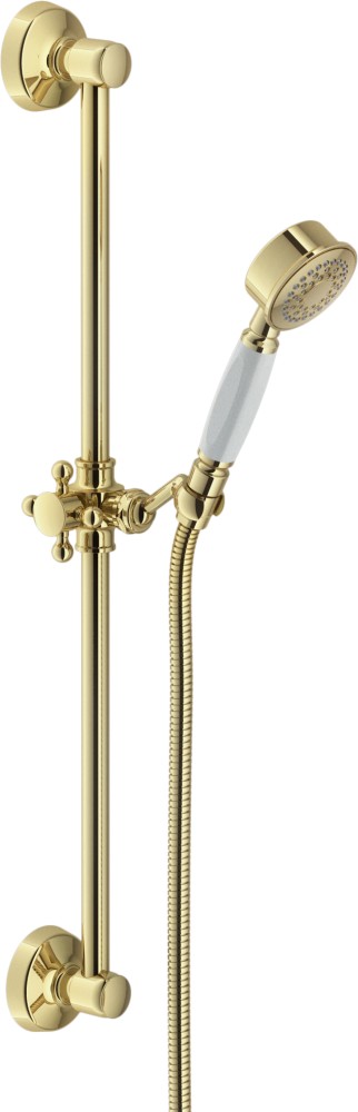 AD140/48GDP душевой гарнитур 60 см 1jet, золото
