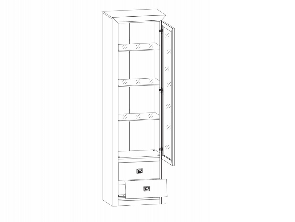 Шкаф-витрина Коен REG1W2S
