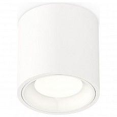 Накладной светильник Ambrella Light XS XS7531010