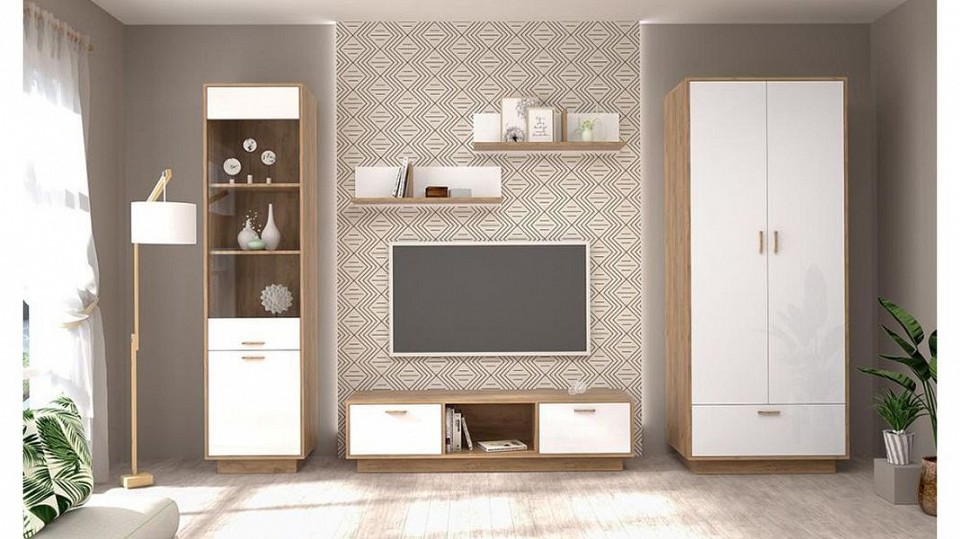 Шкаф платяной Эго Шк-1