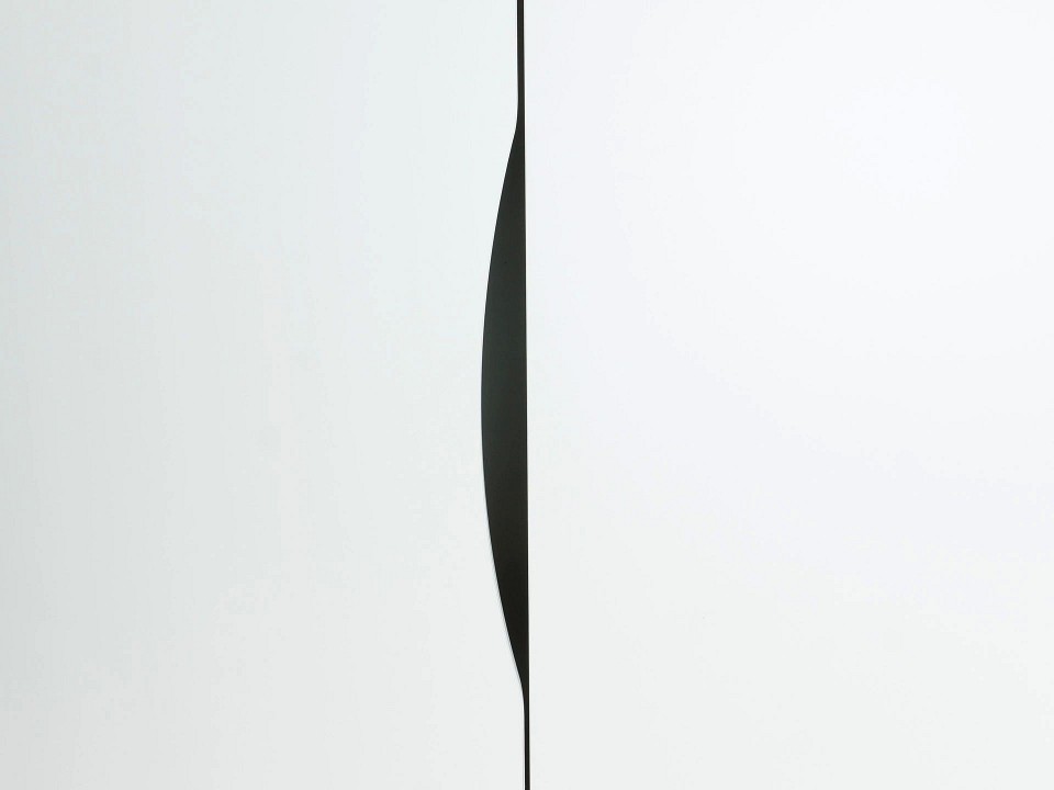 Шкаф платяной Like