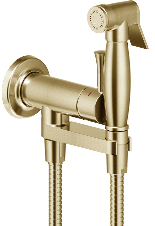 AV00610BR Комплект для гигиенического душа встроенный (смеситель + гигиеническая лейка + шланг), бронза